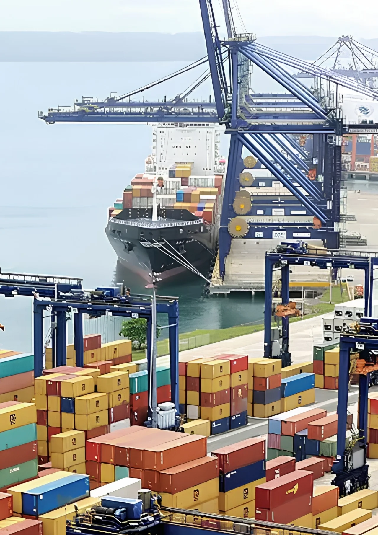 Caso de éxito de TIL Panamá